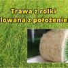 Trawa z rolki, rolowana z położeniem